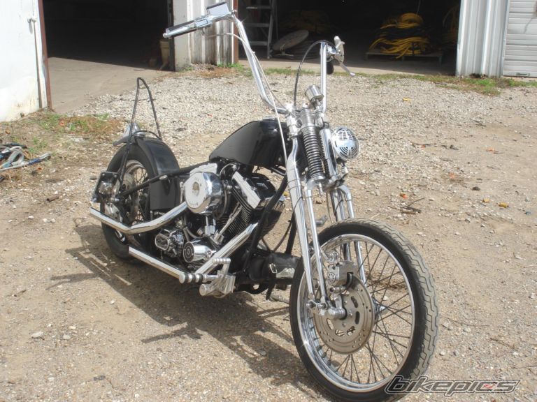 Photo 1337411