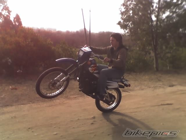 Photo 1337415