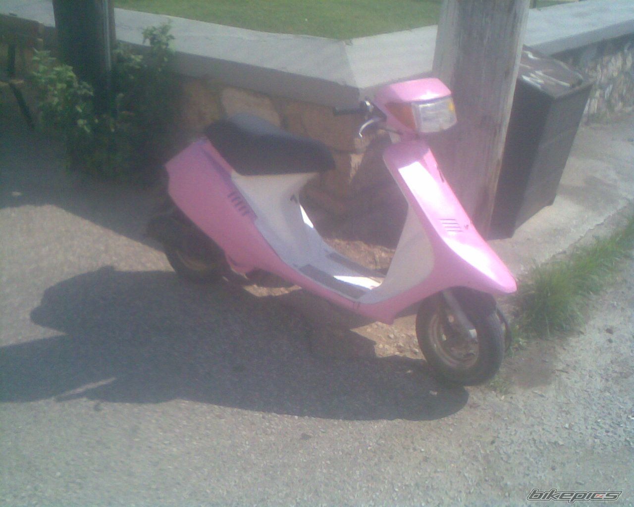 Photo 1337960