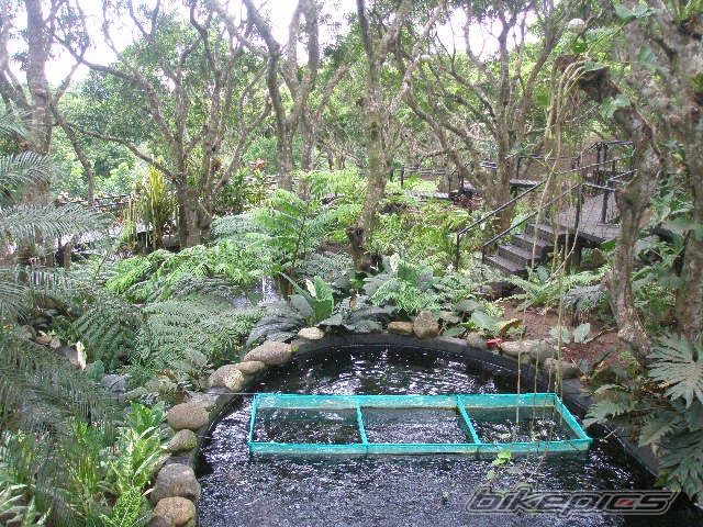 Photo 1339778