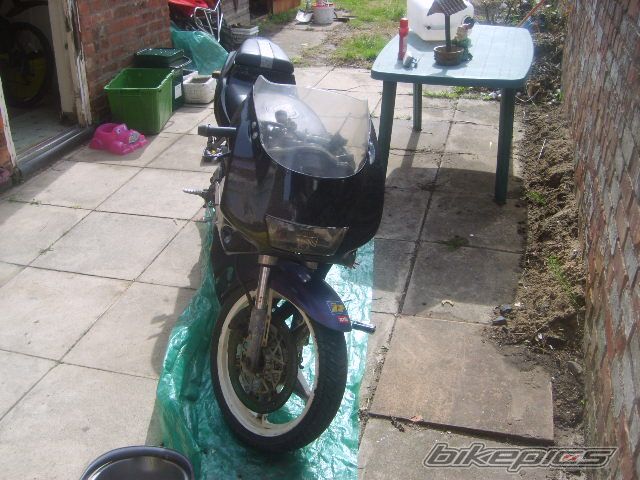 Photo 1339954