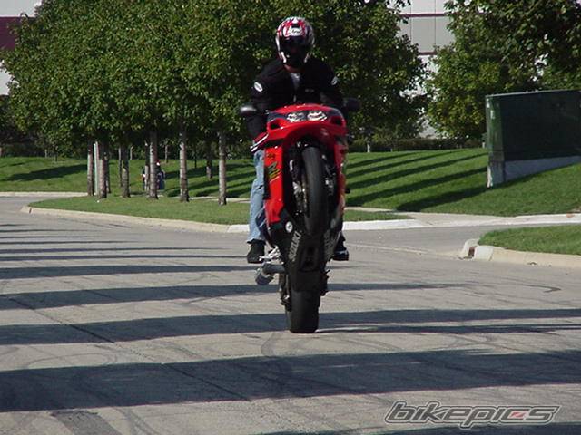 Photo 13441