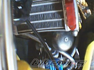 Photo 1344508