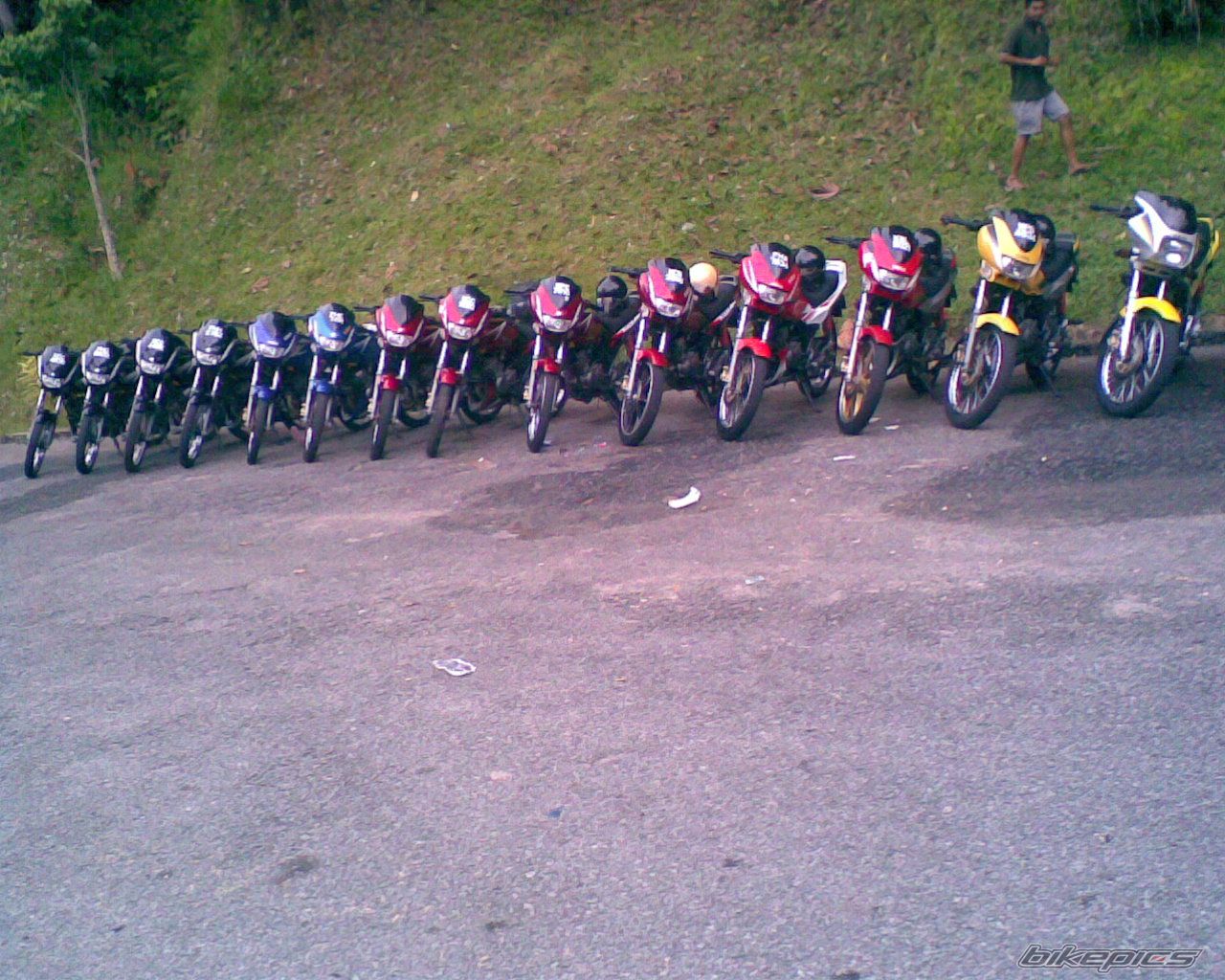 Photo 1353266