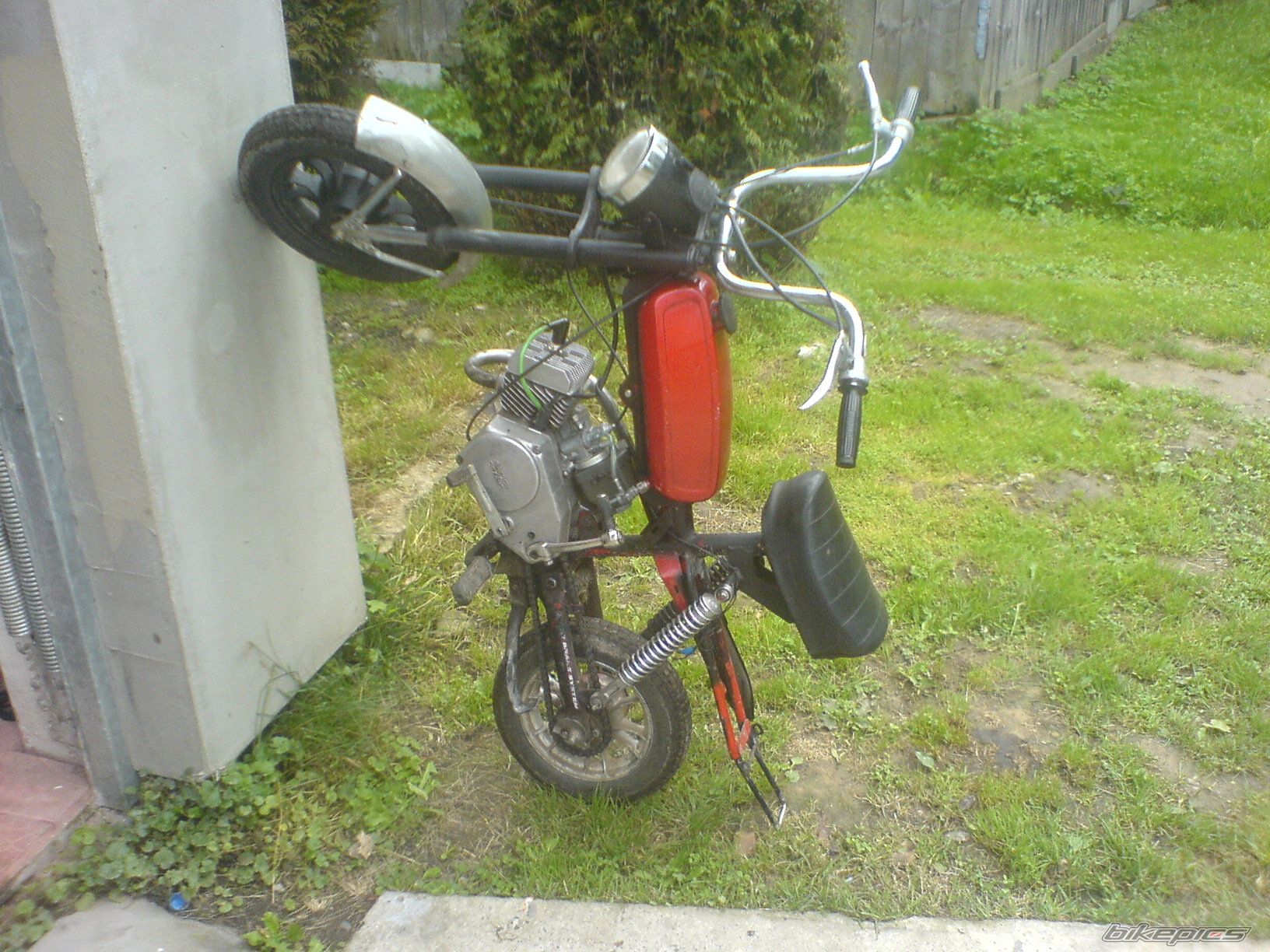 Photo 1353929