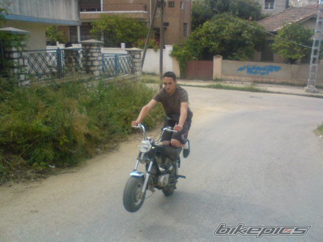Photo 1359511