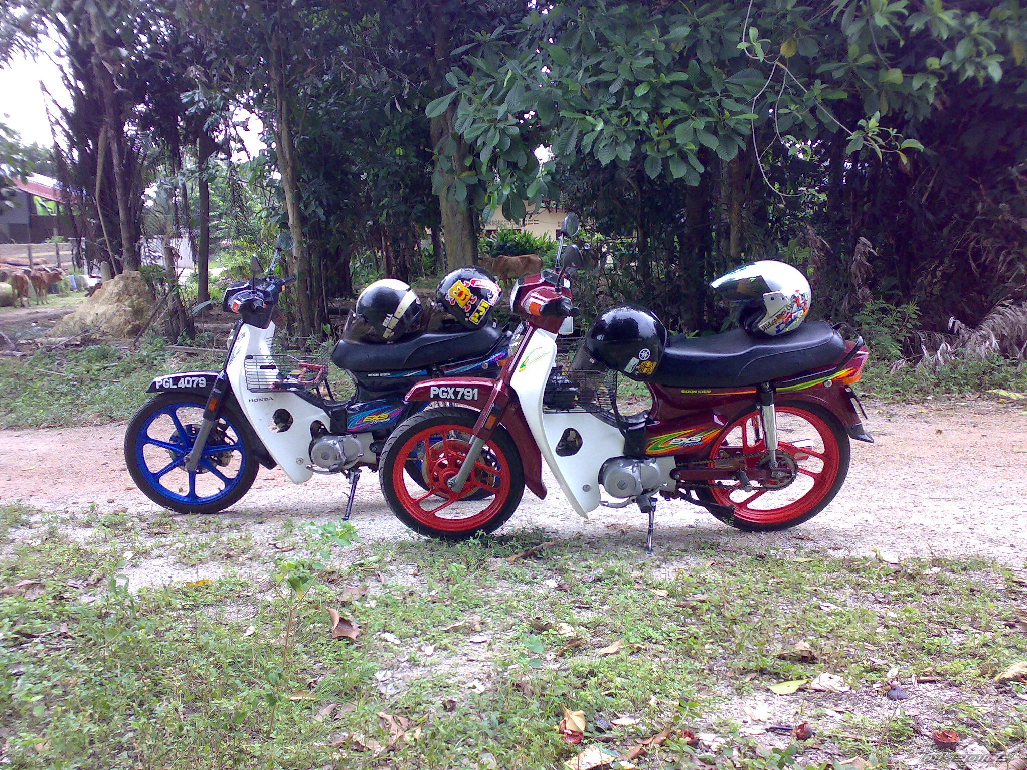 Bike Photo 1360191
