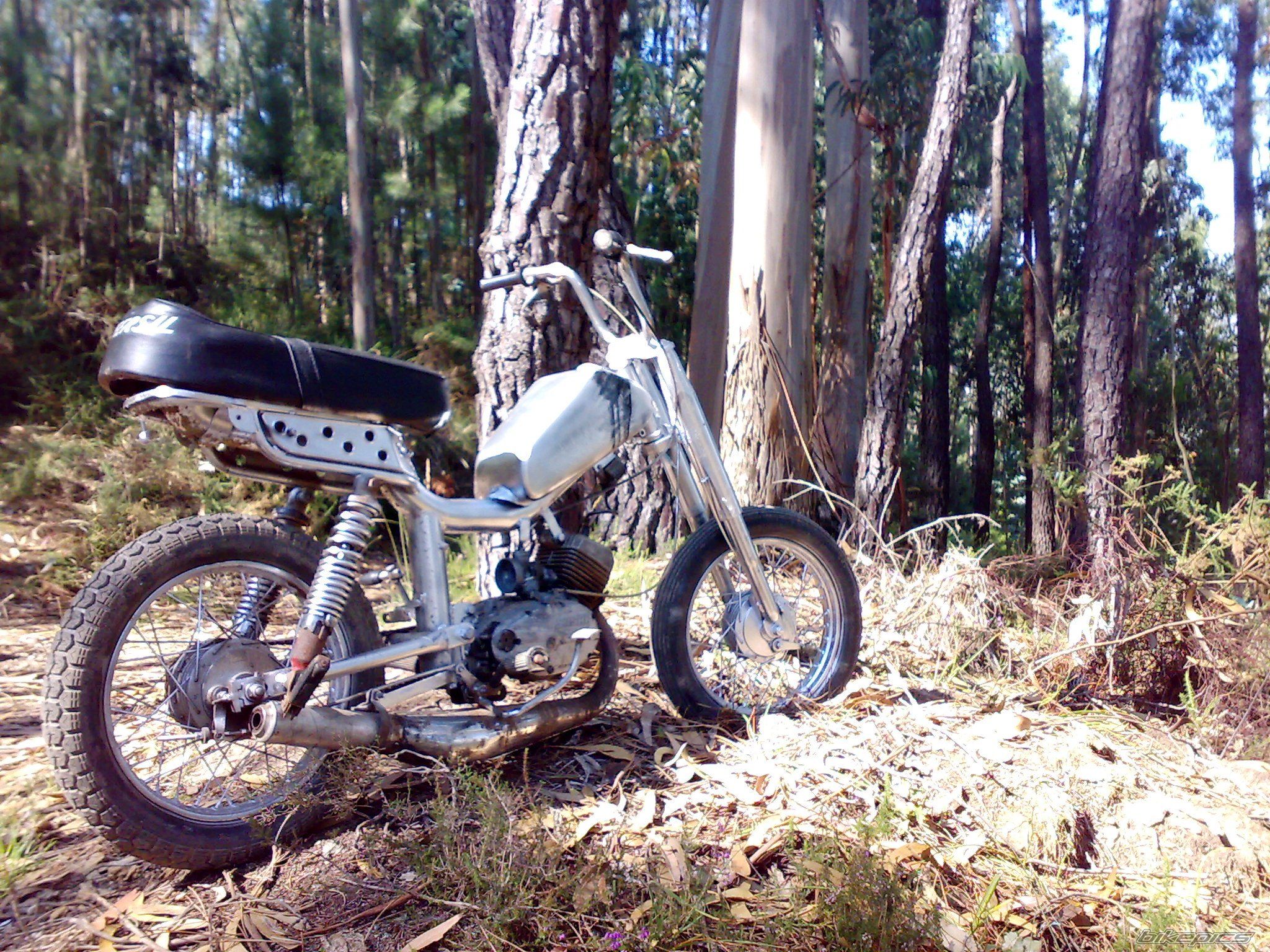 Photo 1360371