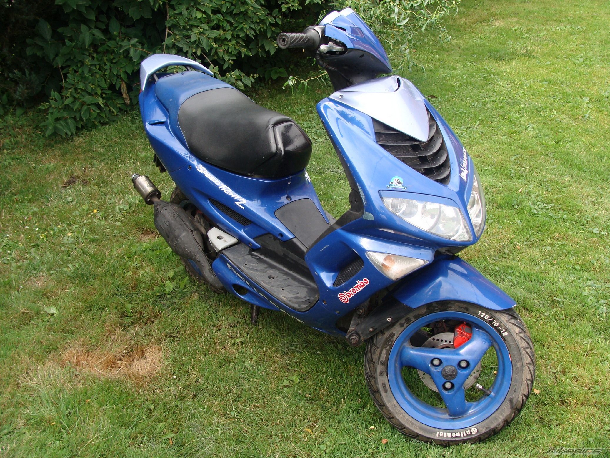 Photo 1361519