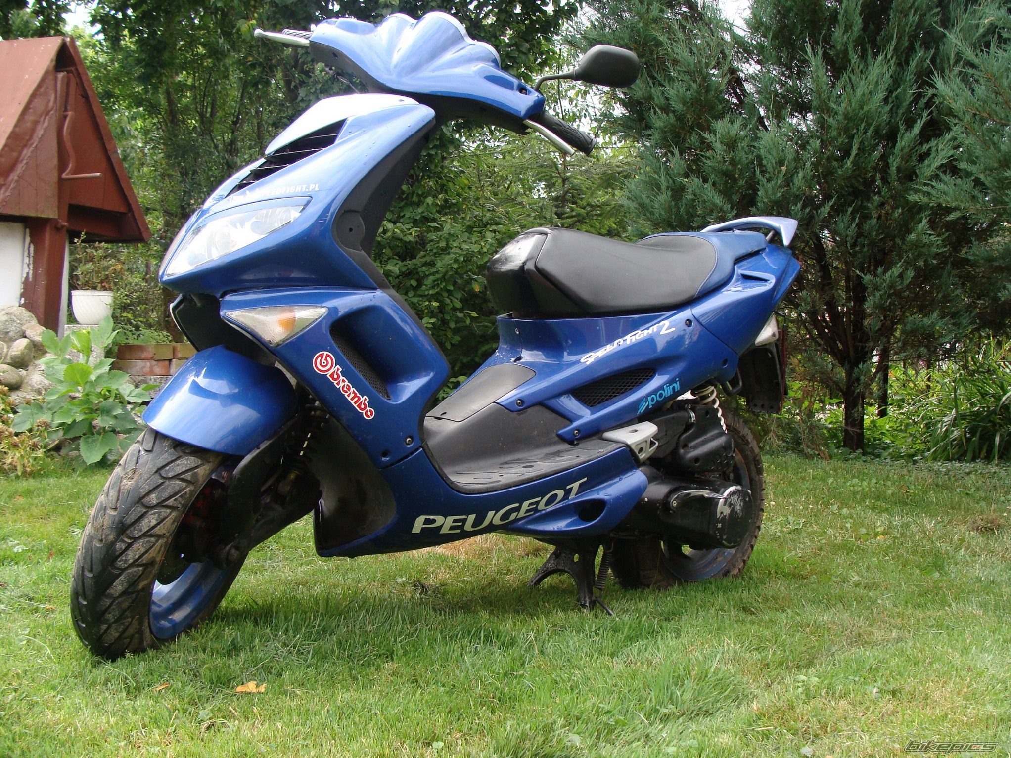 Photo 1361521