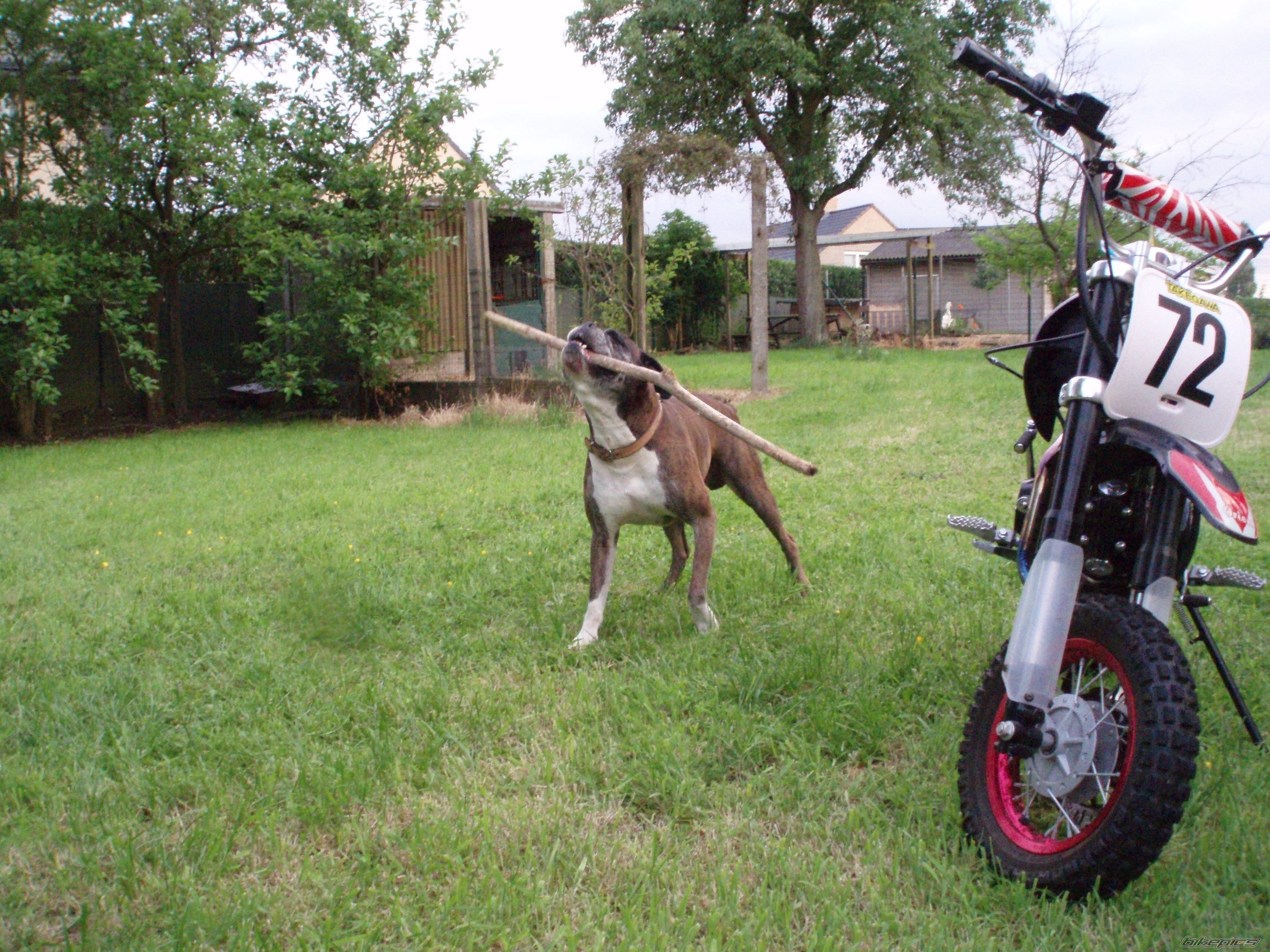 Bike Photo 1362397