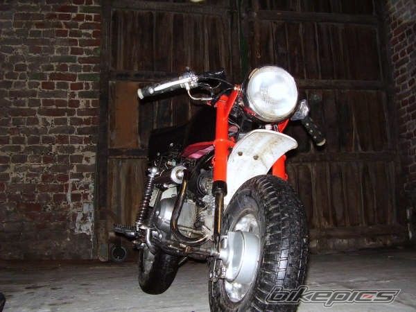 Photo 1362407