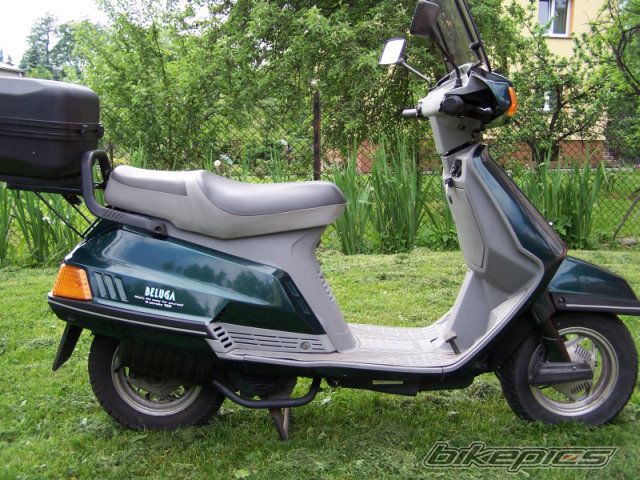 Photo 1362744