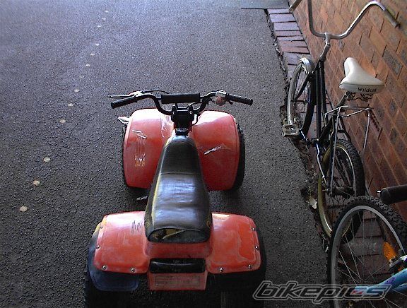 Photo 1362830