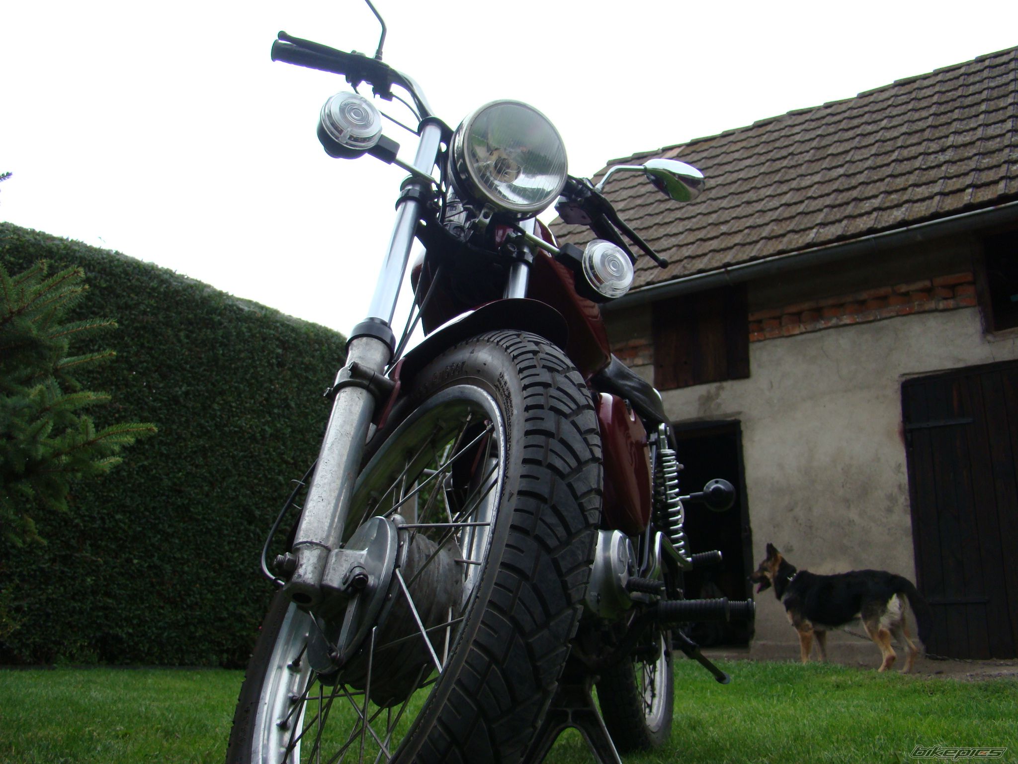 Photo 1363010