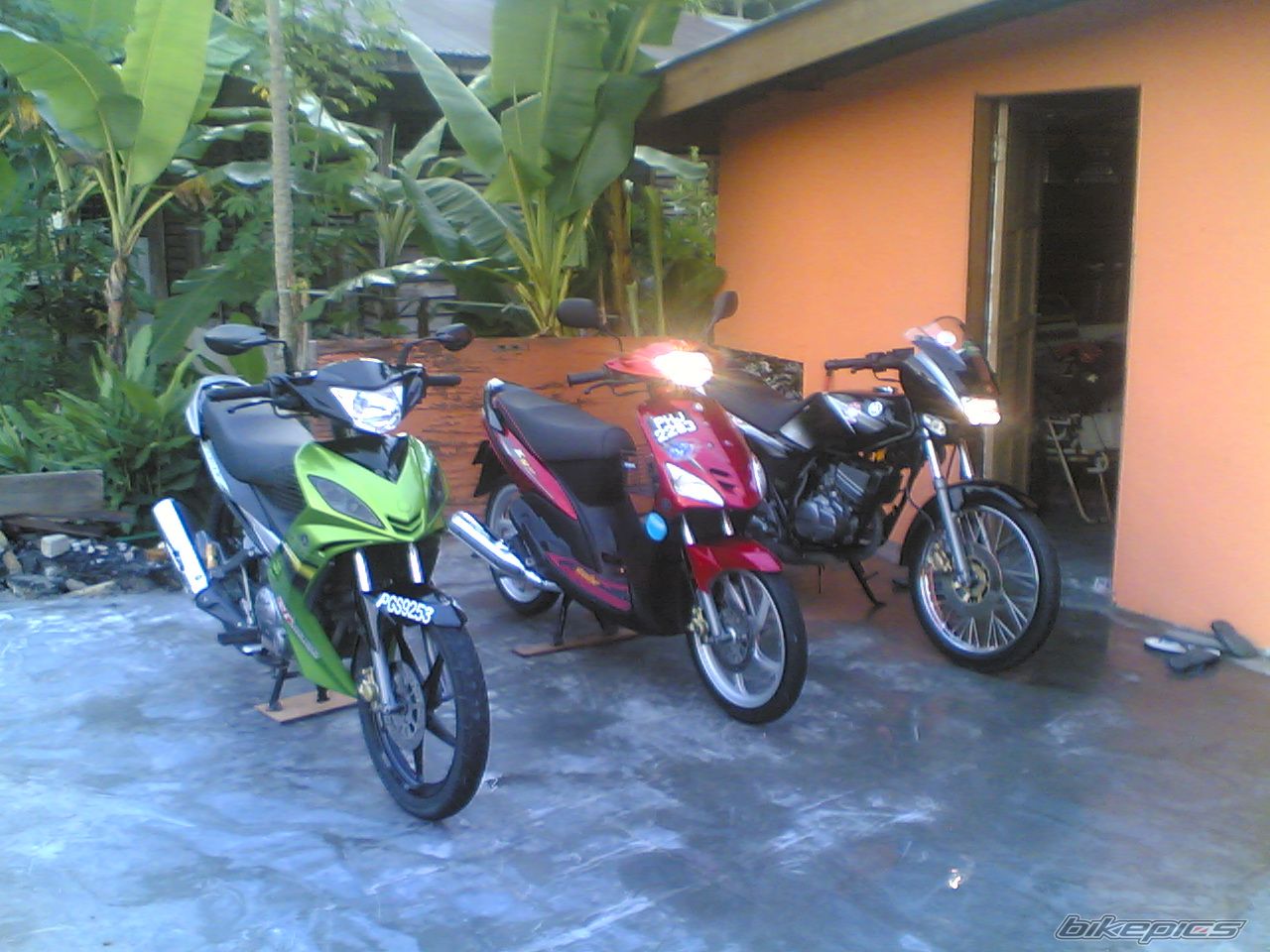 Photo 1367939