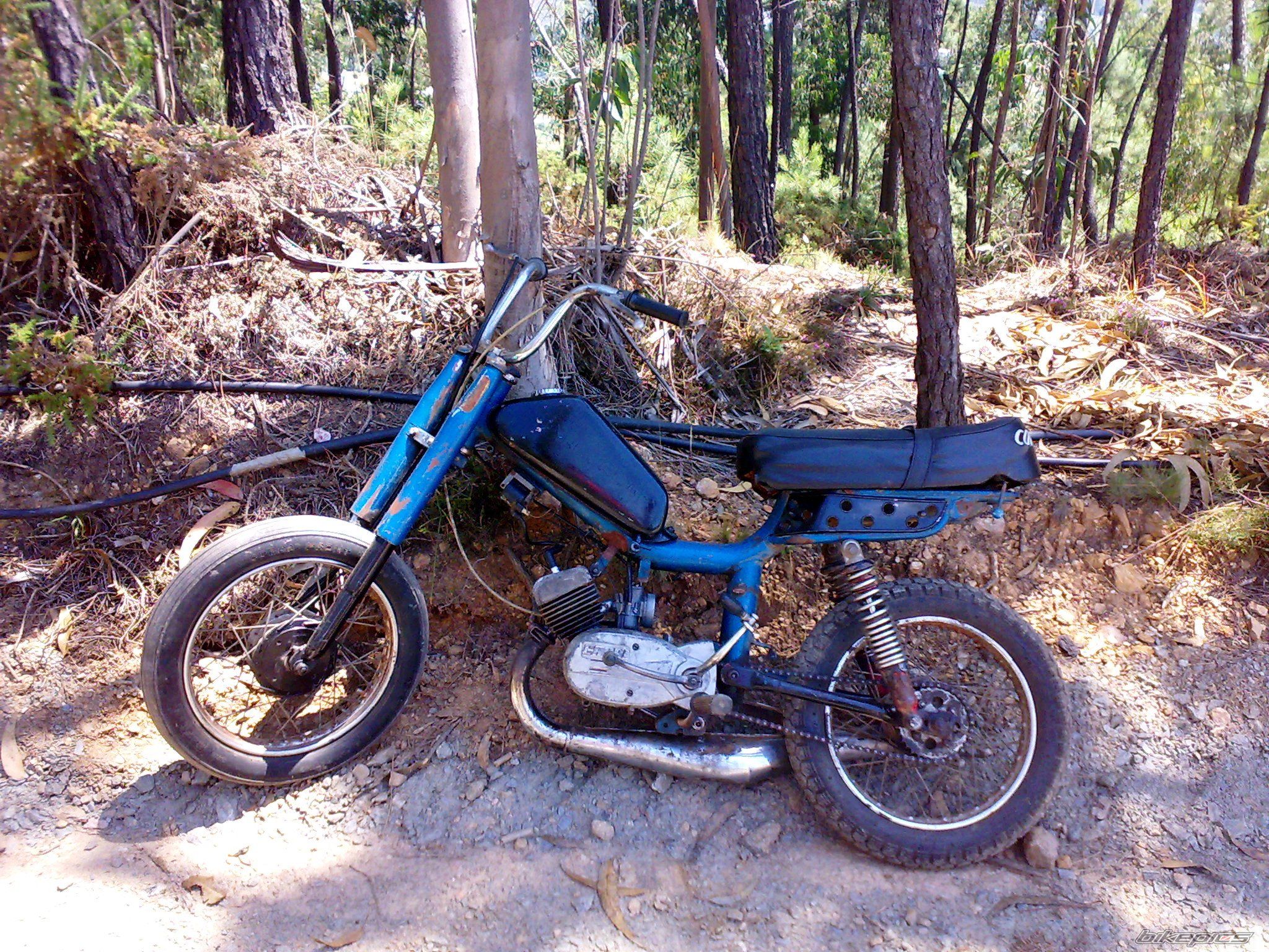 Photo 1372881