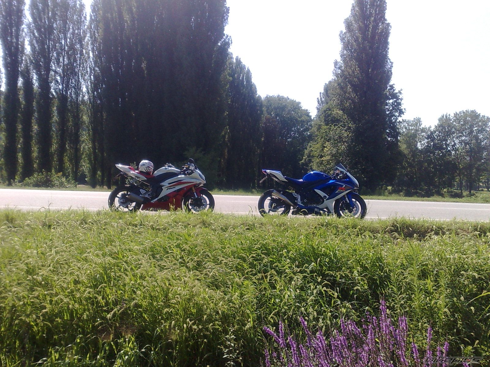 Photo 1374469
