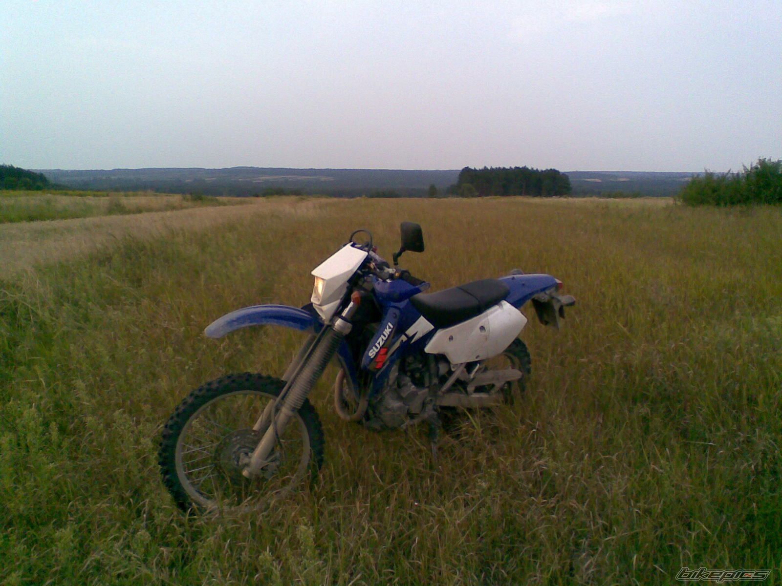Photo 1374581