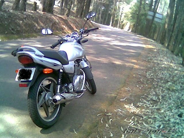 Photo 1376475