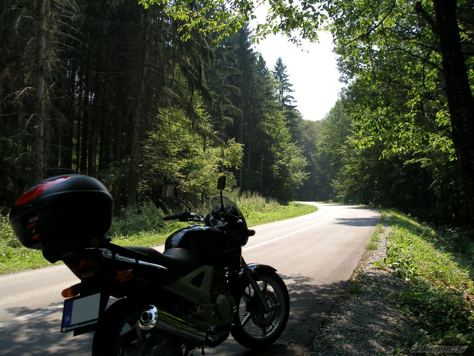 Photo 1376553