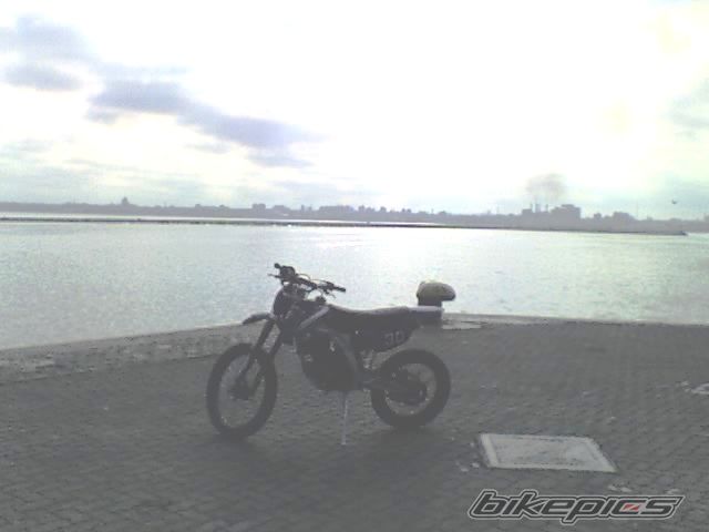 Photo 1377201