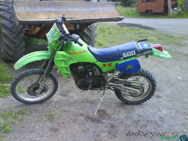 Photo 1381496