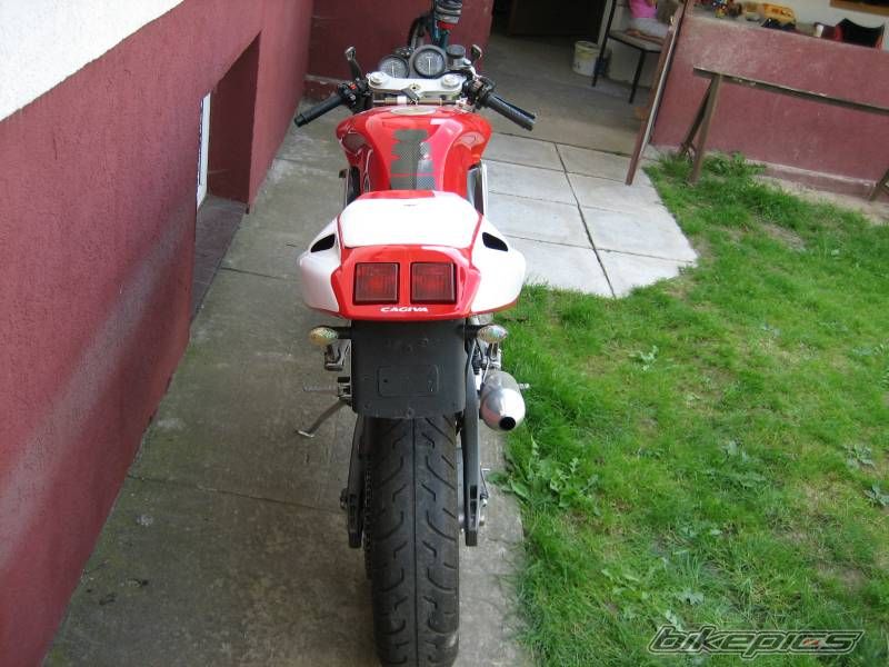 Photo 1381864