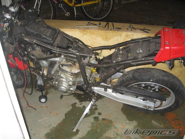 Photo 1383206
