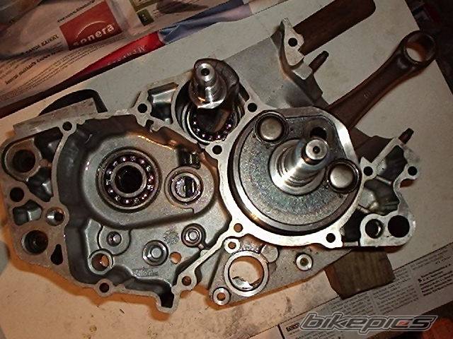Photo 138345