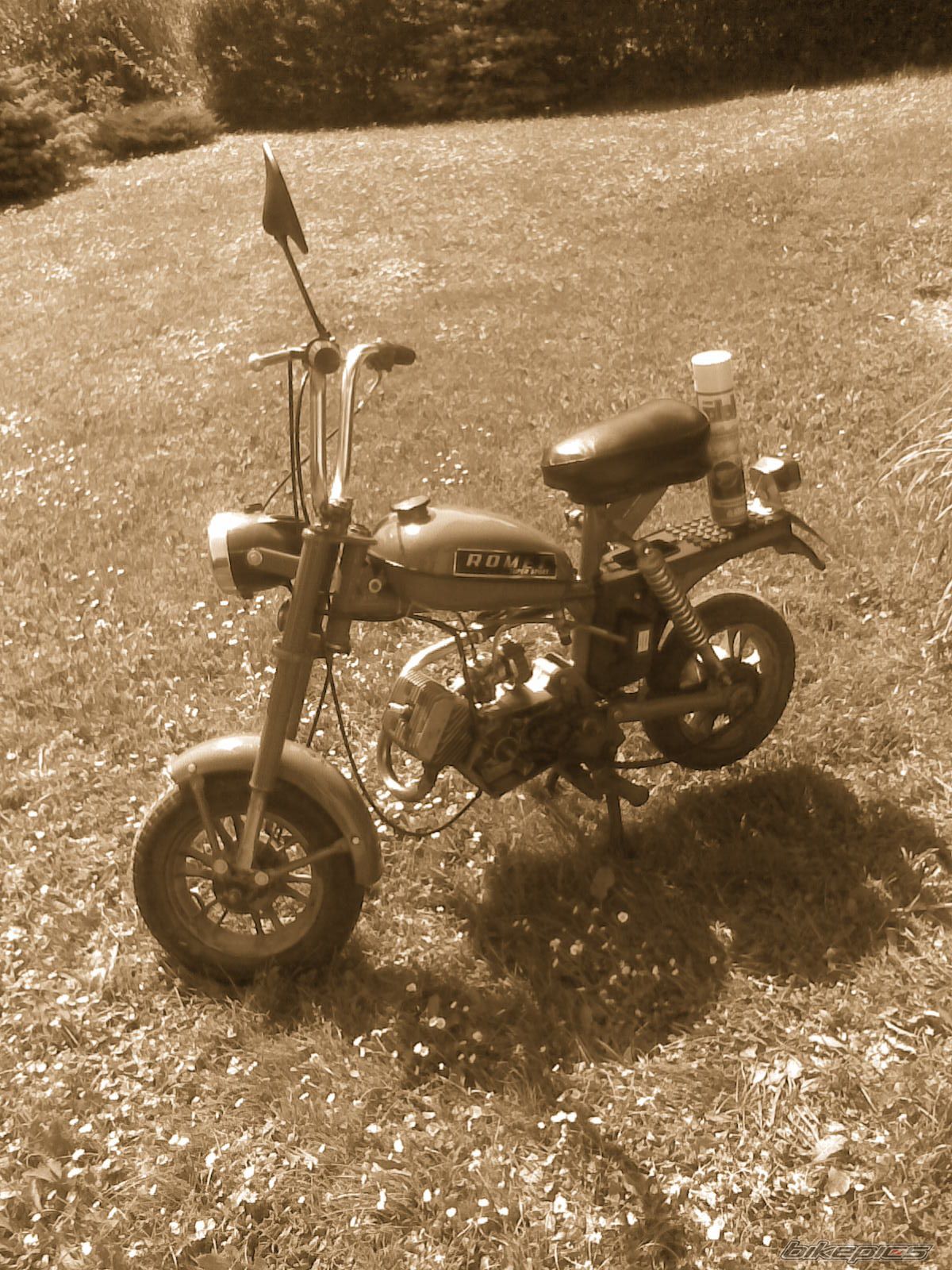 Photo 1383746