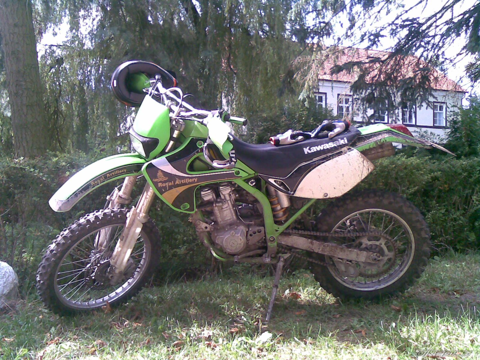 Photo 1384937