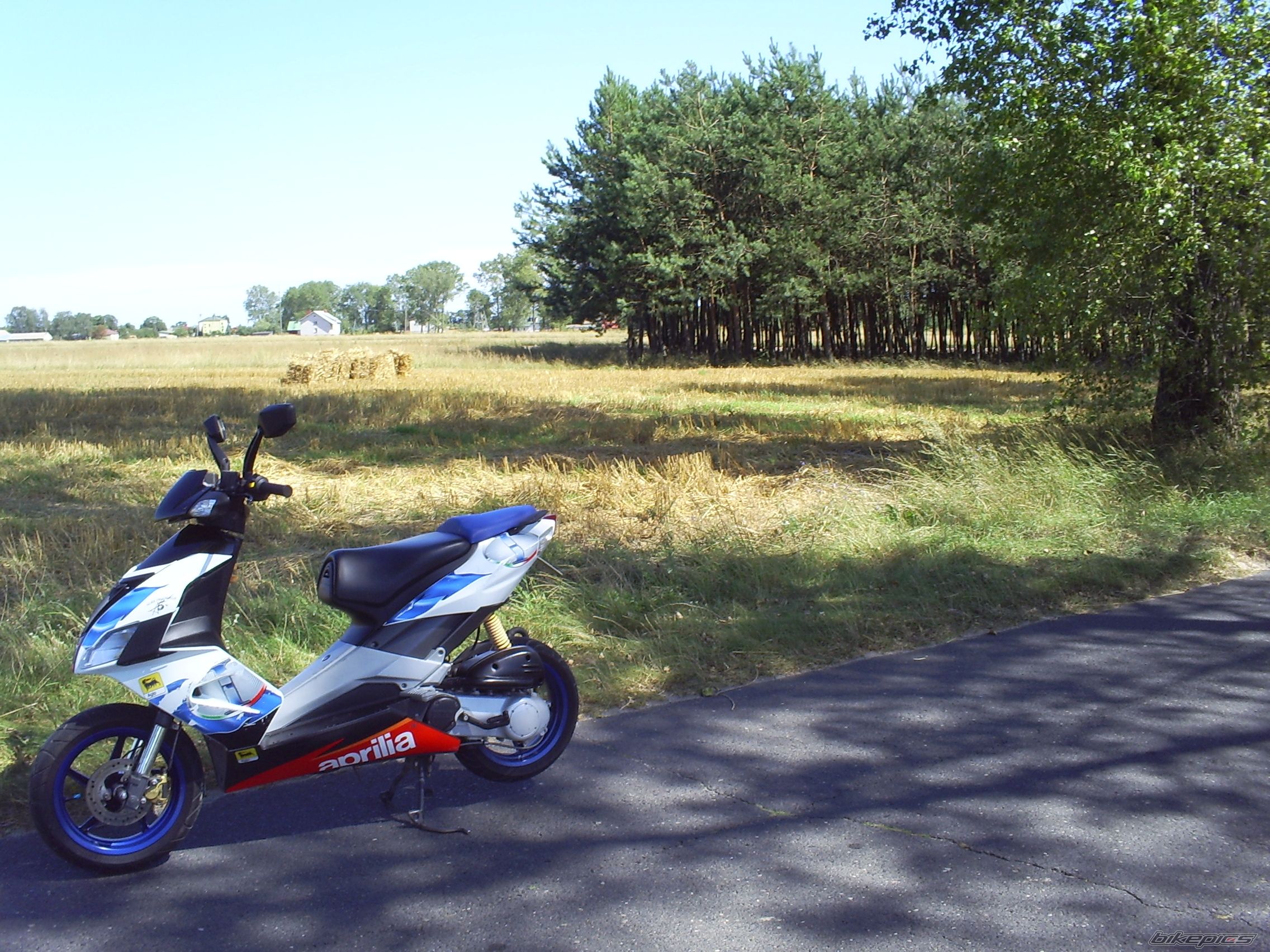 Photo 1384940