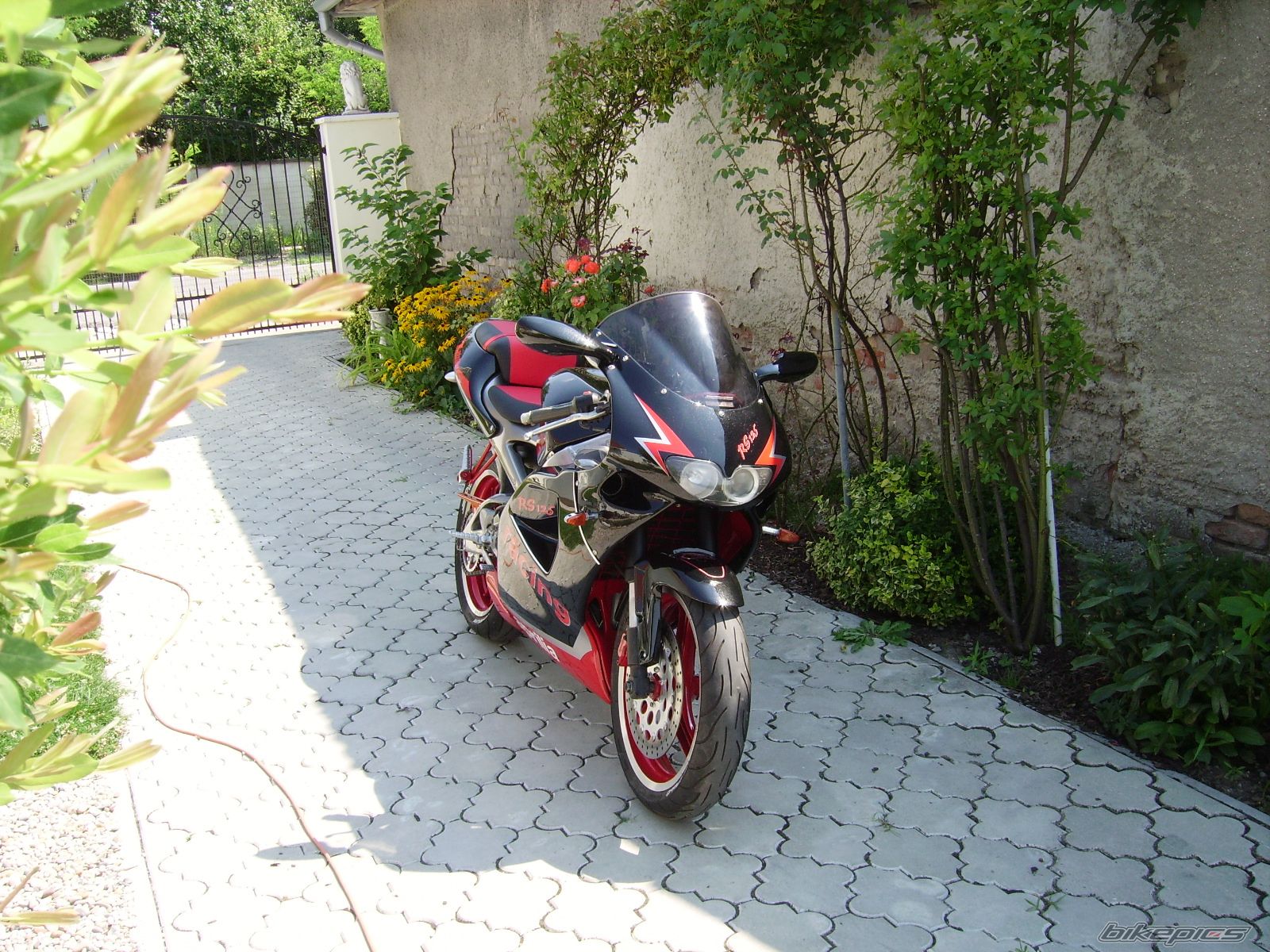Photo 1385957