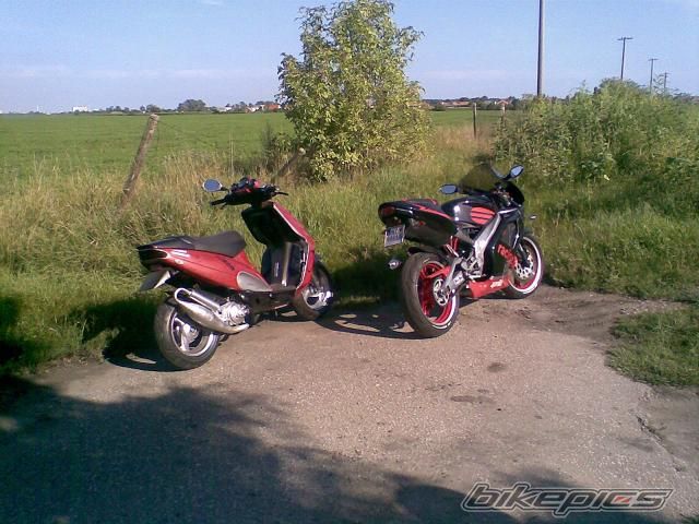 Photo 1385958