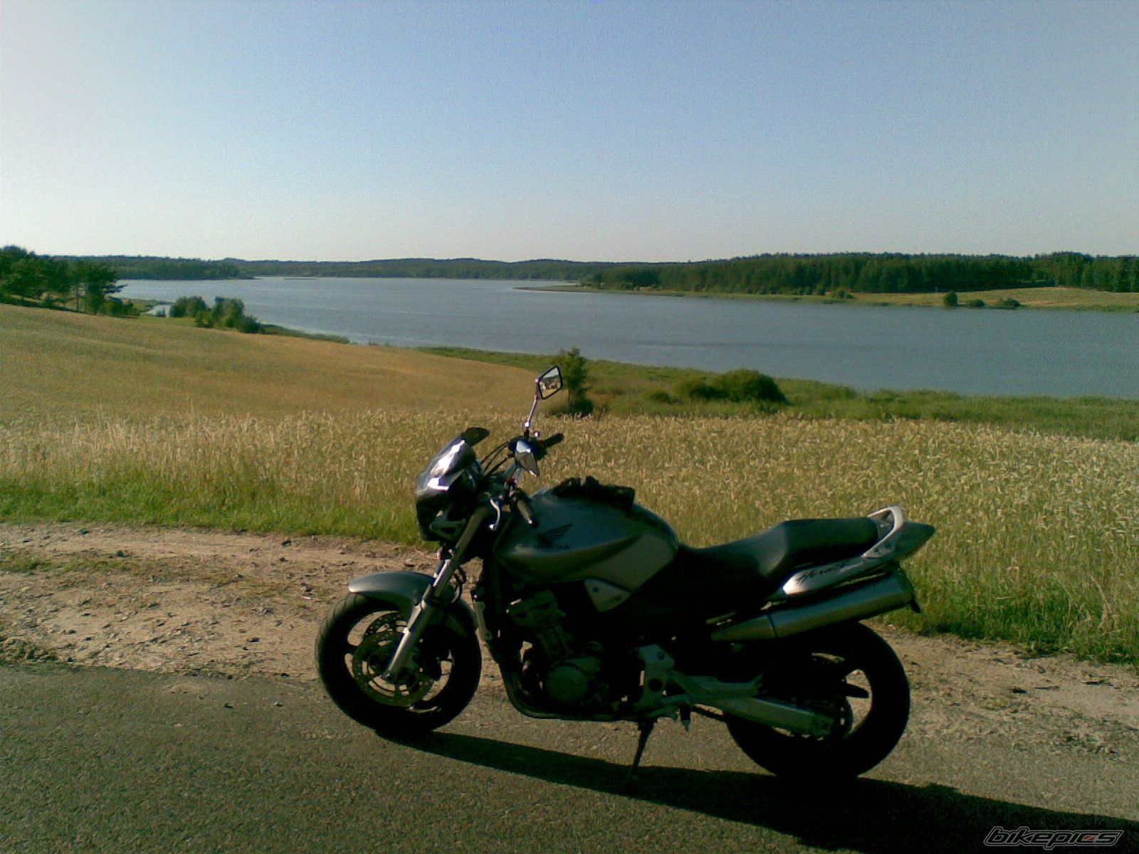Photo 1385989