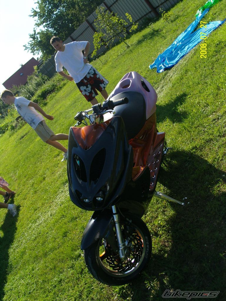 Photo 1386083