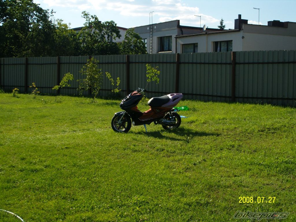 Photo 1386125