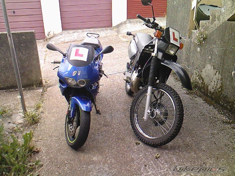 Photo 1387373