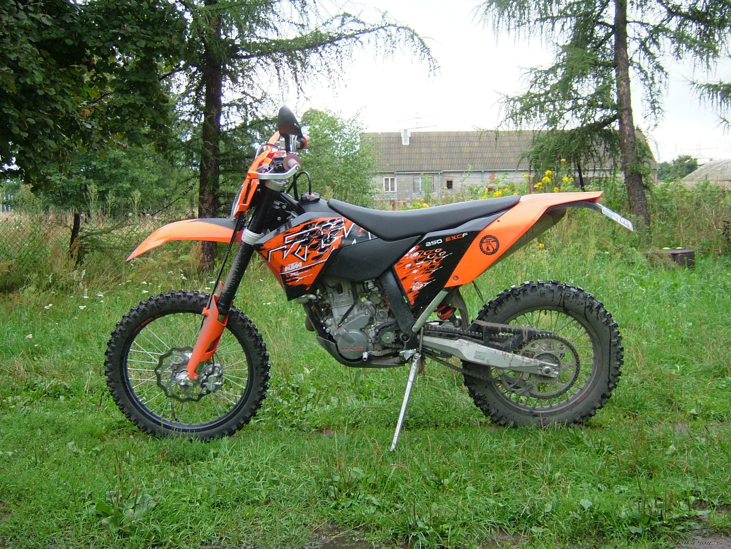 Photo 1387970