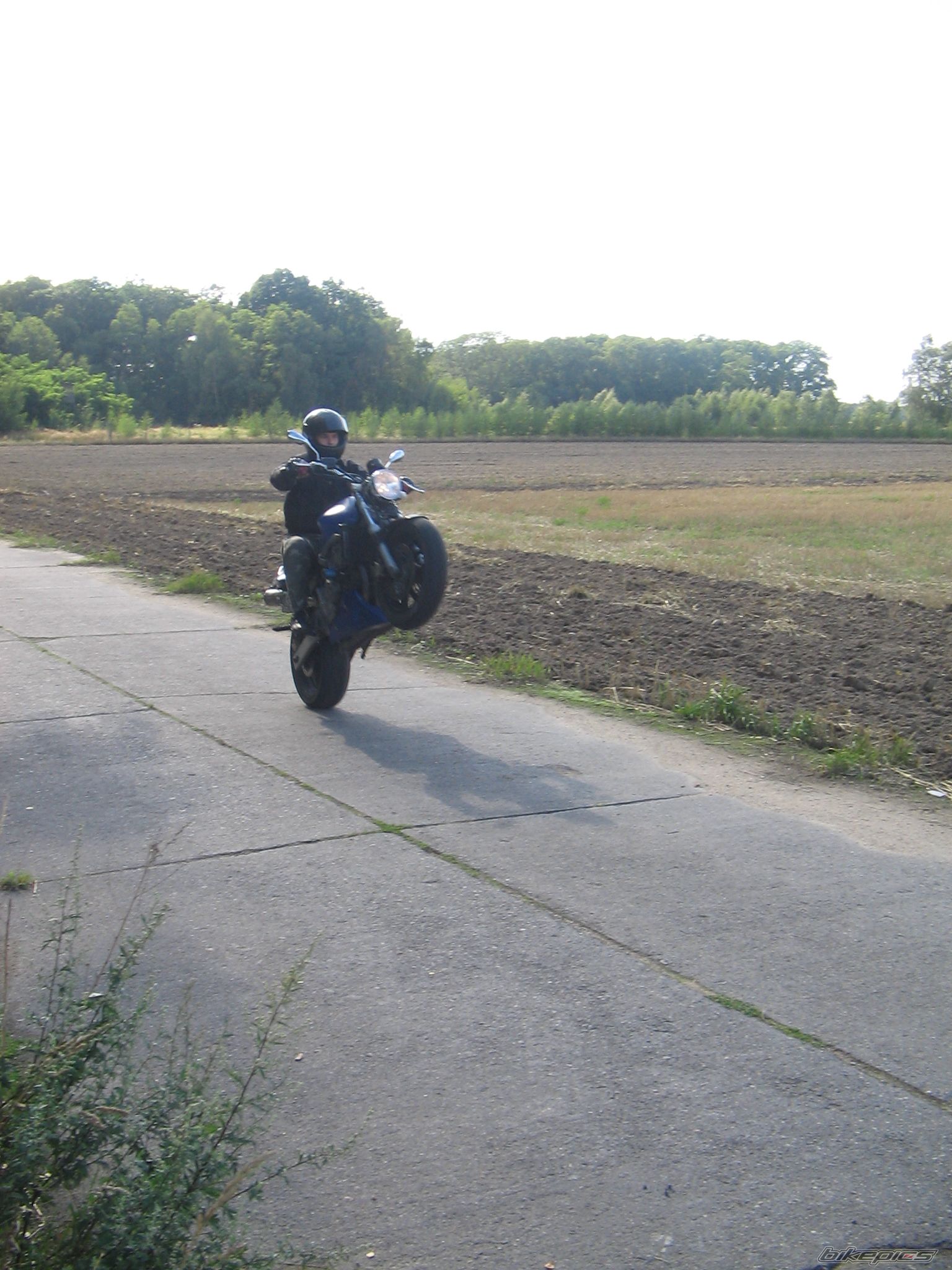 Photo 1387978