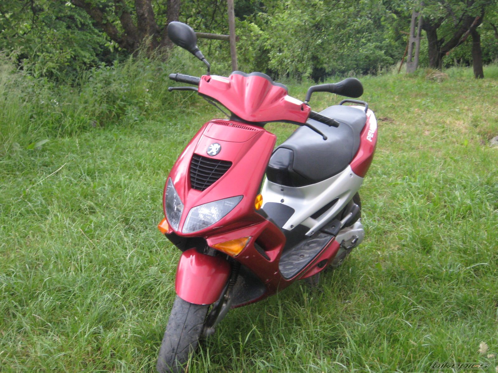 Bike Photo 1390297