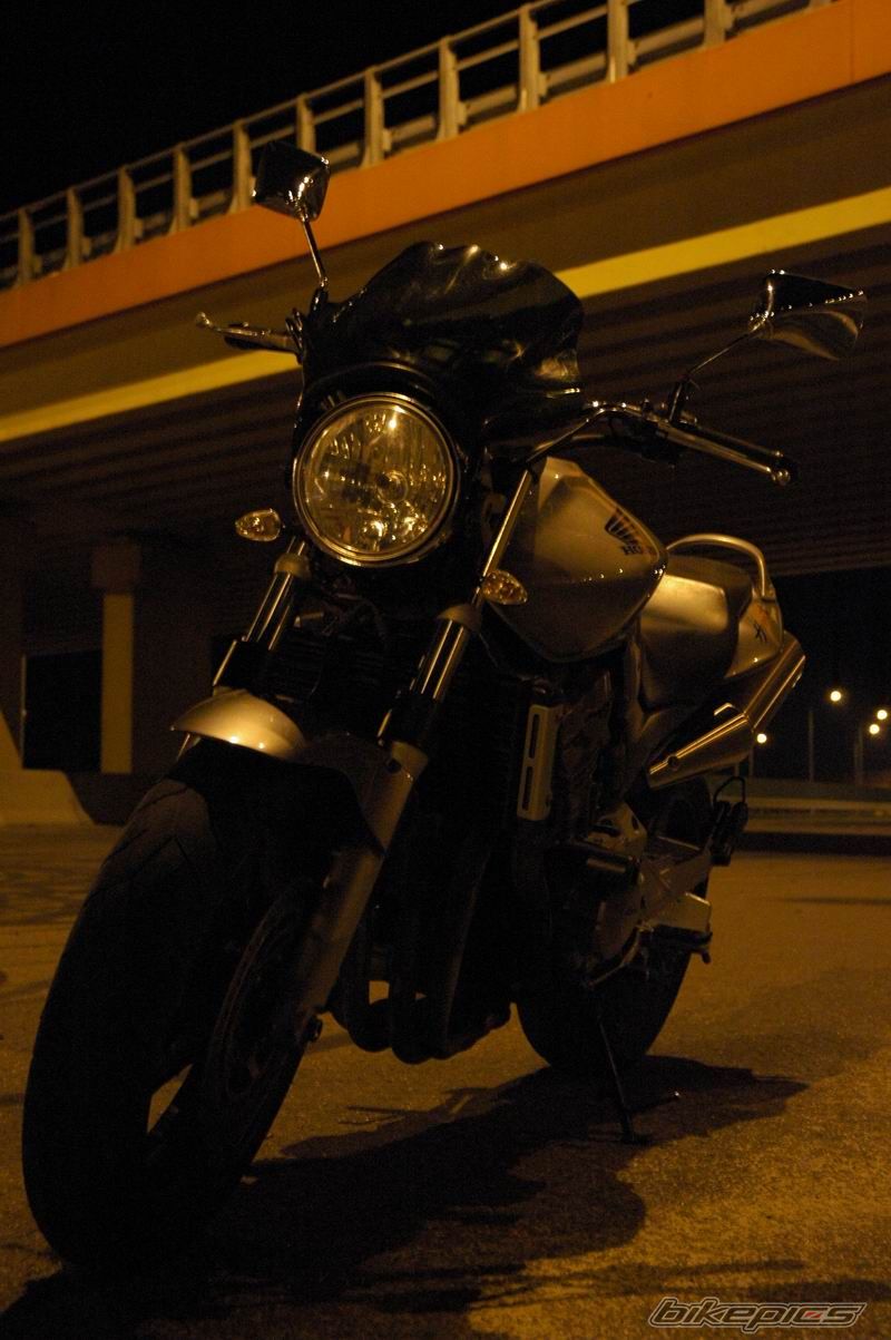 Photo 1392519