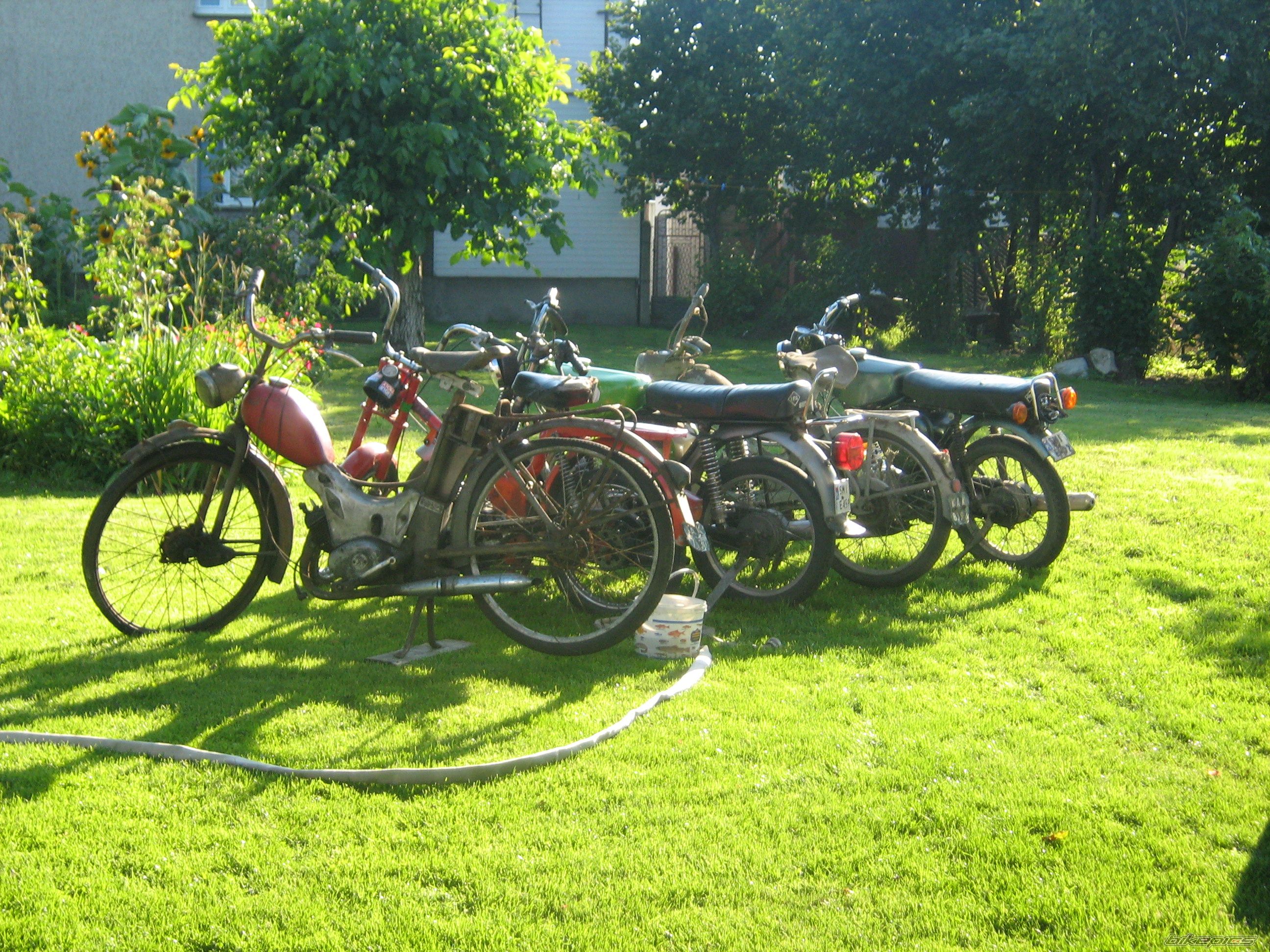 Bike Photo 1393251