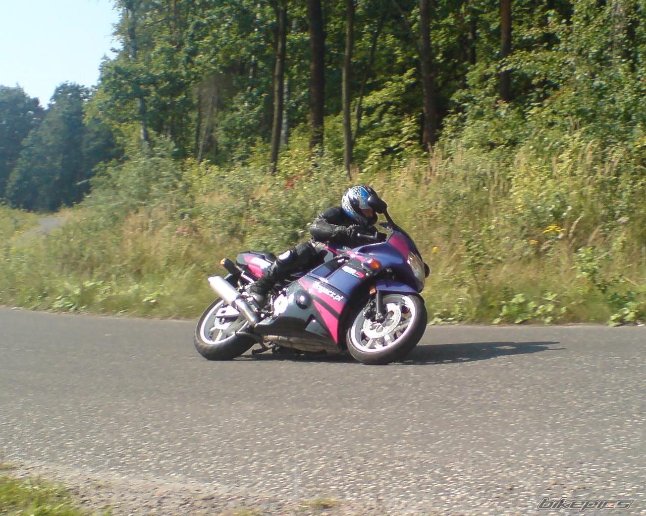 Photo 1393984