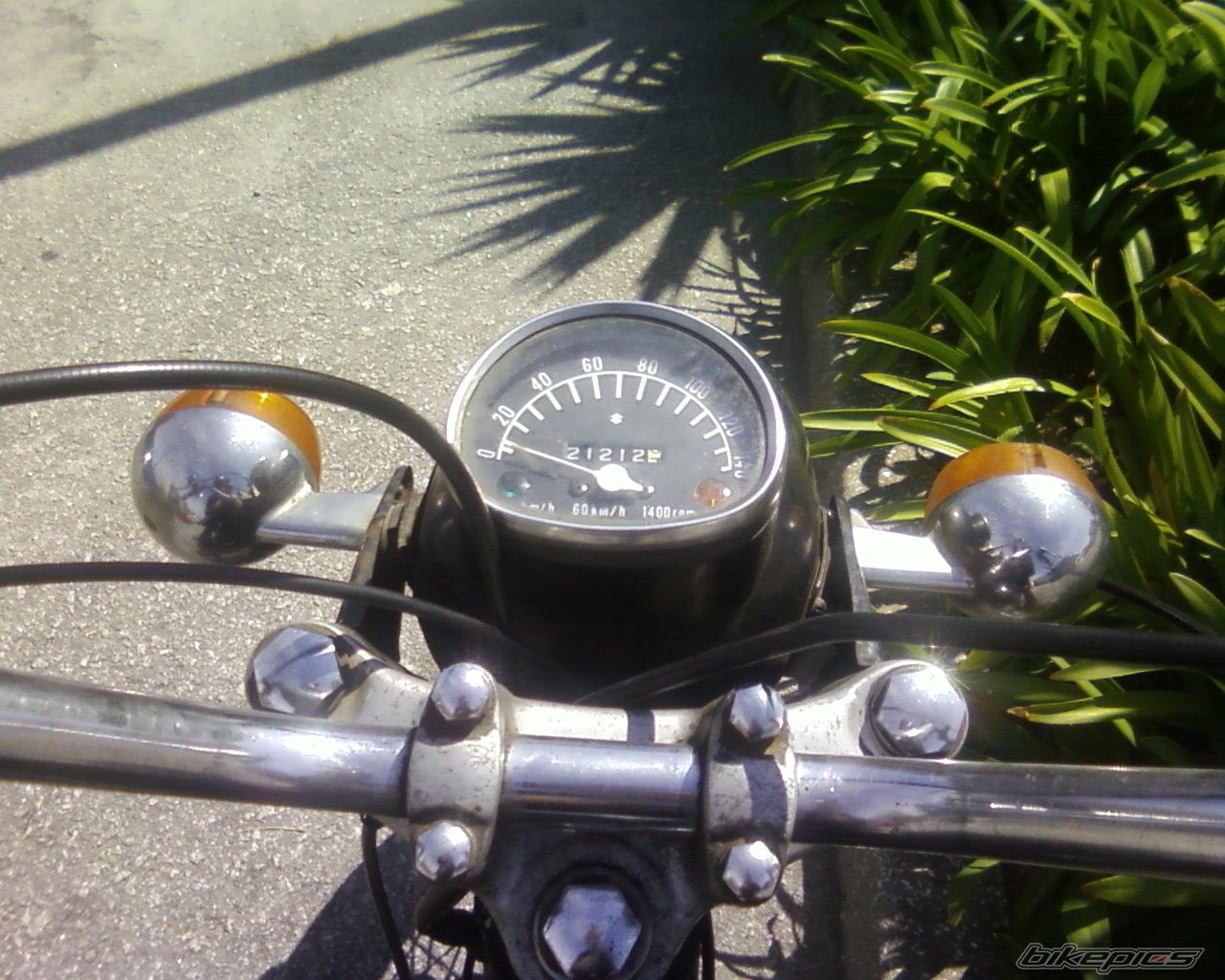 Photo 1394949