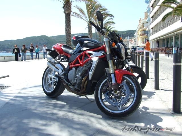 Photo 1397853