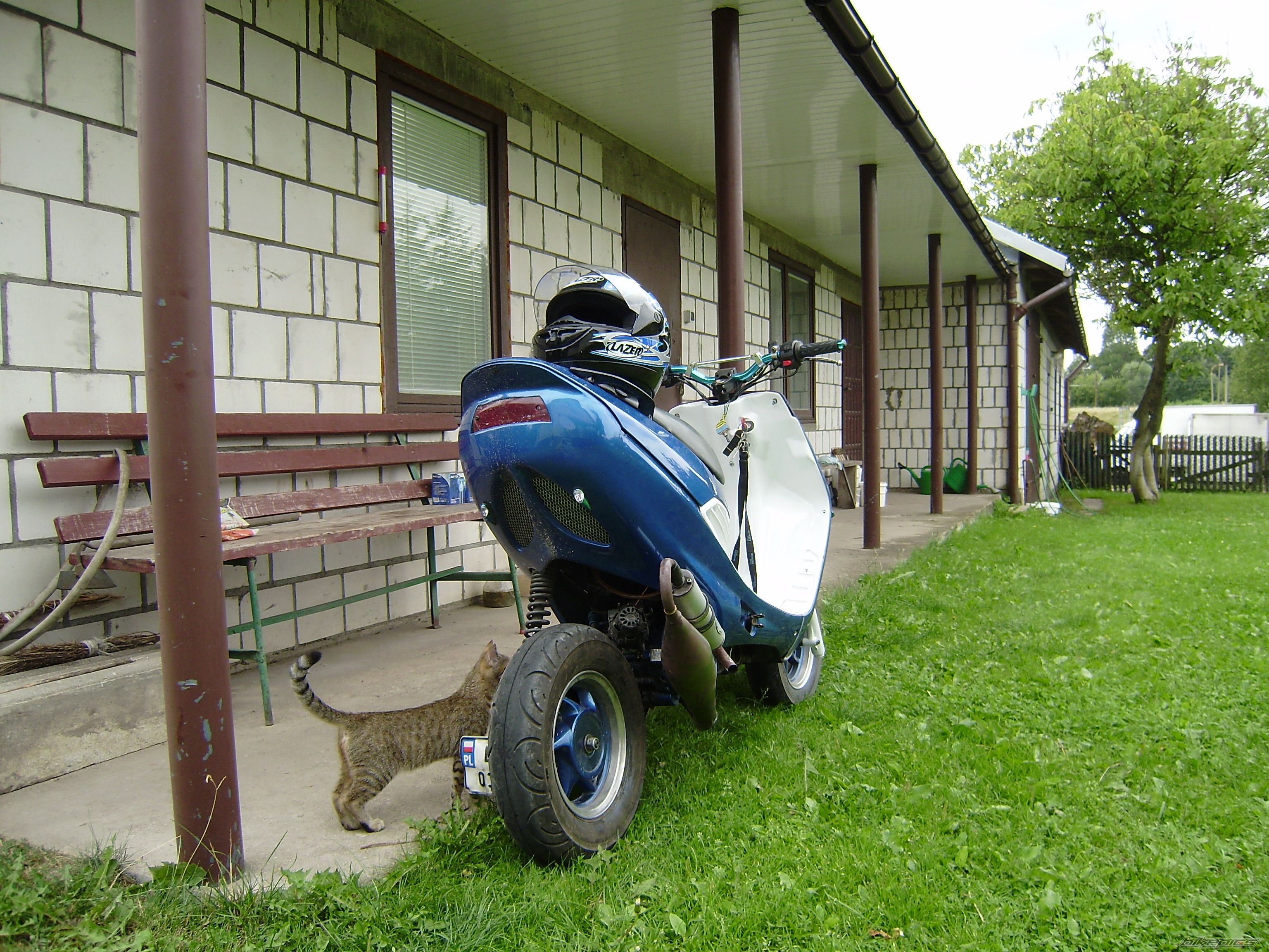 Photo 1399351