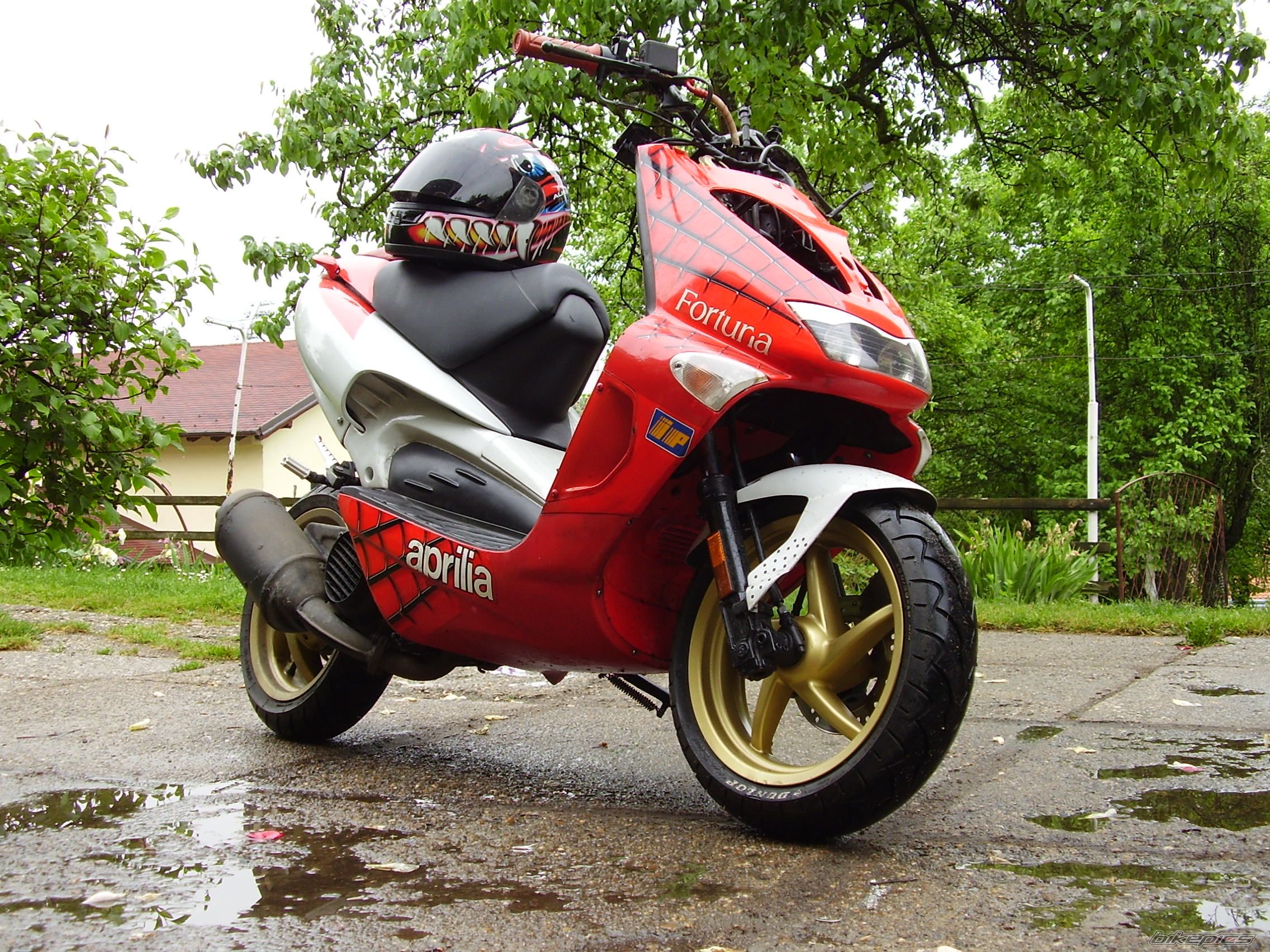 Bike Photo 1399752