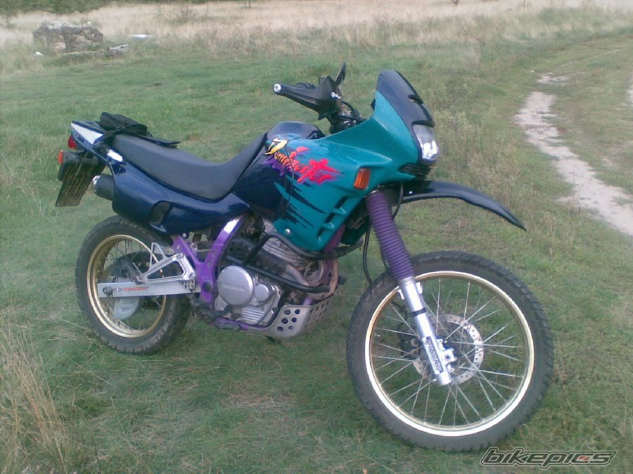 Photo 1401409